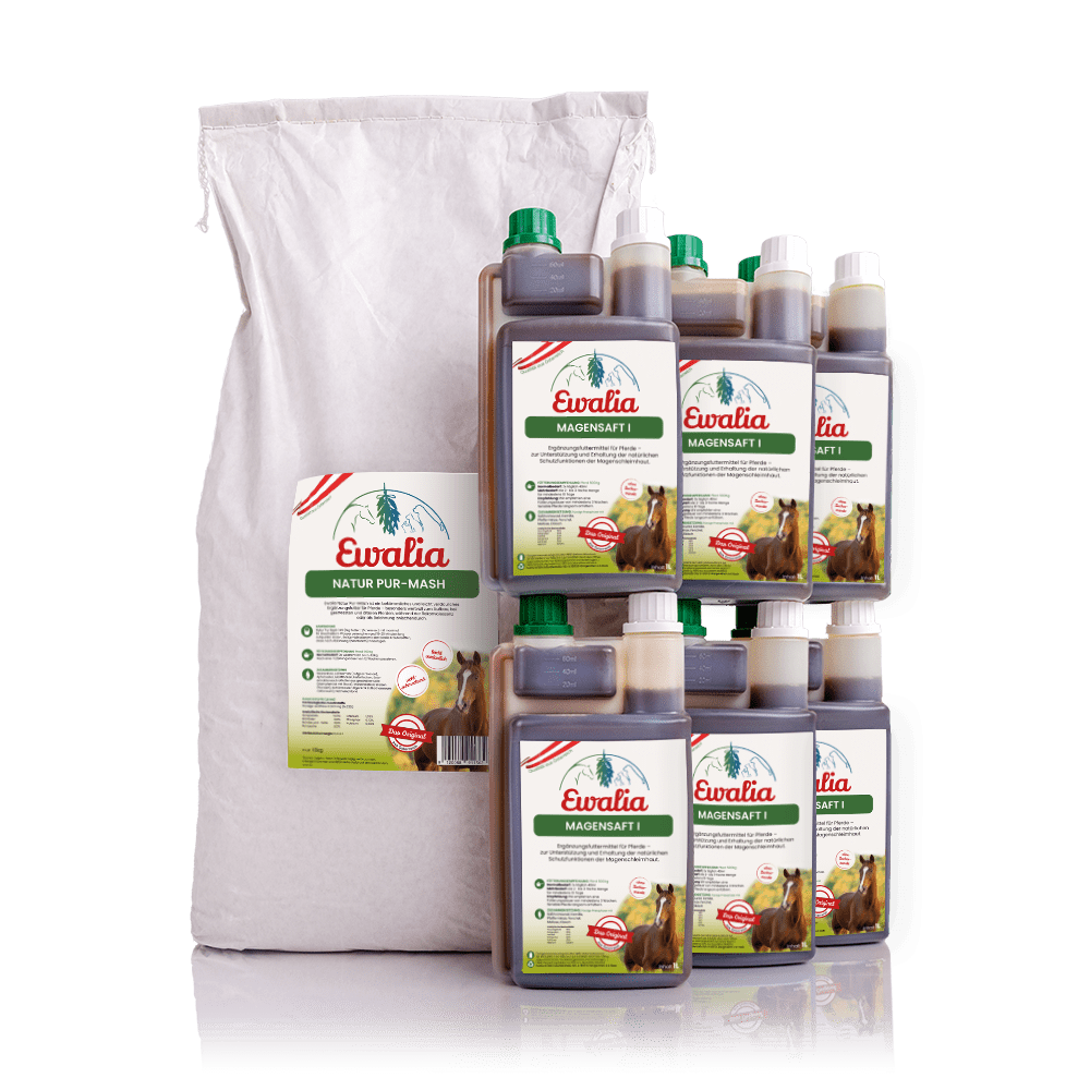 Buendel Pferde Magensaft 6L Natur Pur Mash