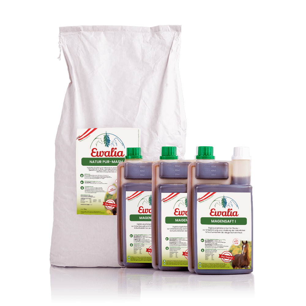 Buendel Pferde Magensaft 3L Natur Pur Mash
