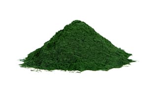 Spirulina Alge-Media