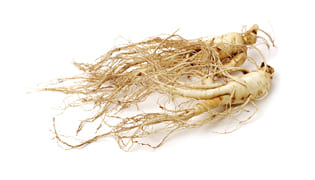 Ginseng-Media