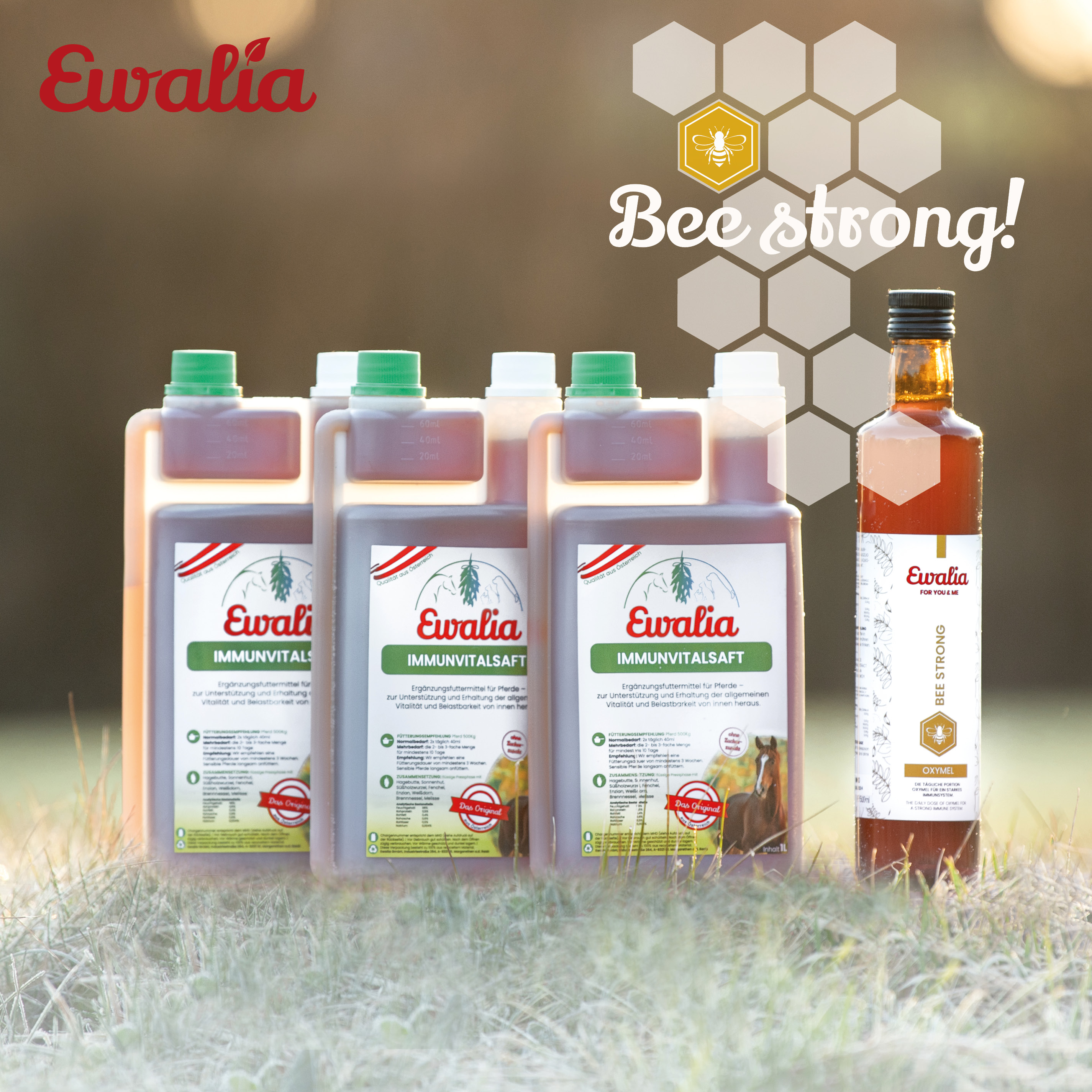 1x EWALIA Oxymel Bee strong + 3x EWALIA Immunvitalsaft für Pferde 1L