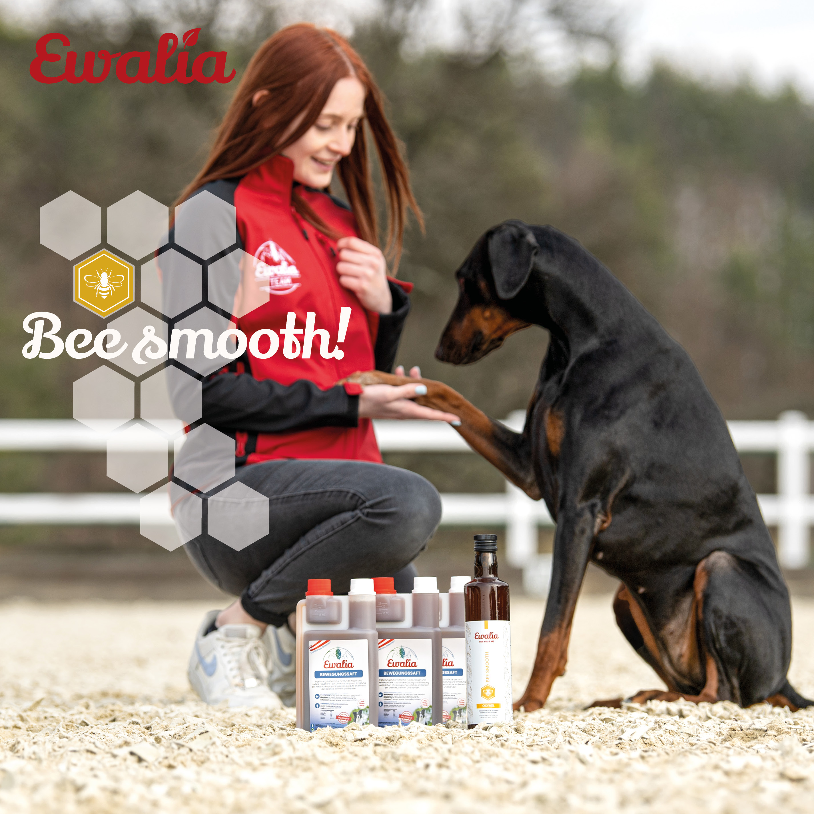 hero bee smooth bewegung Hund