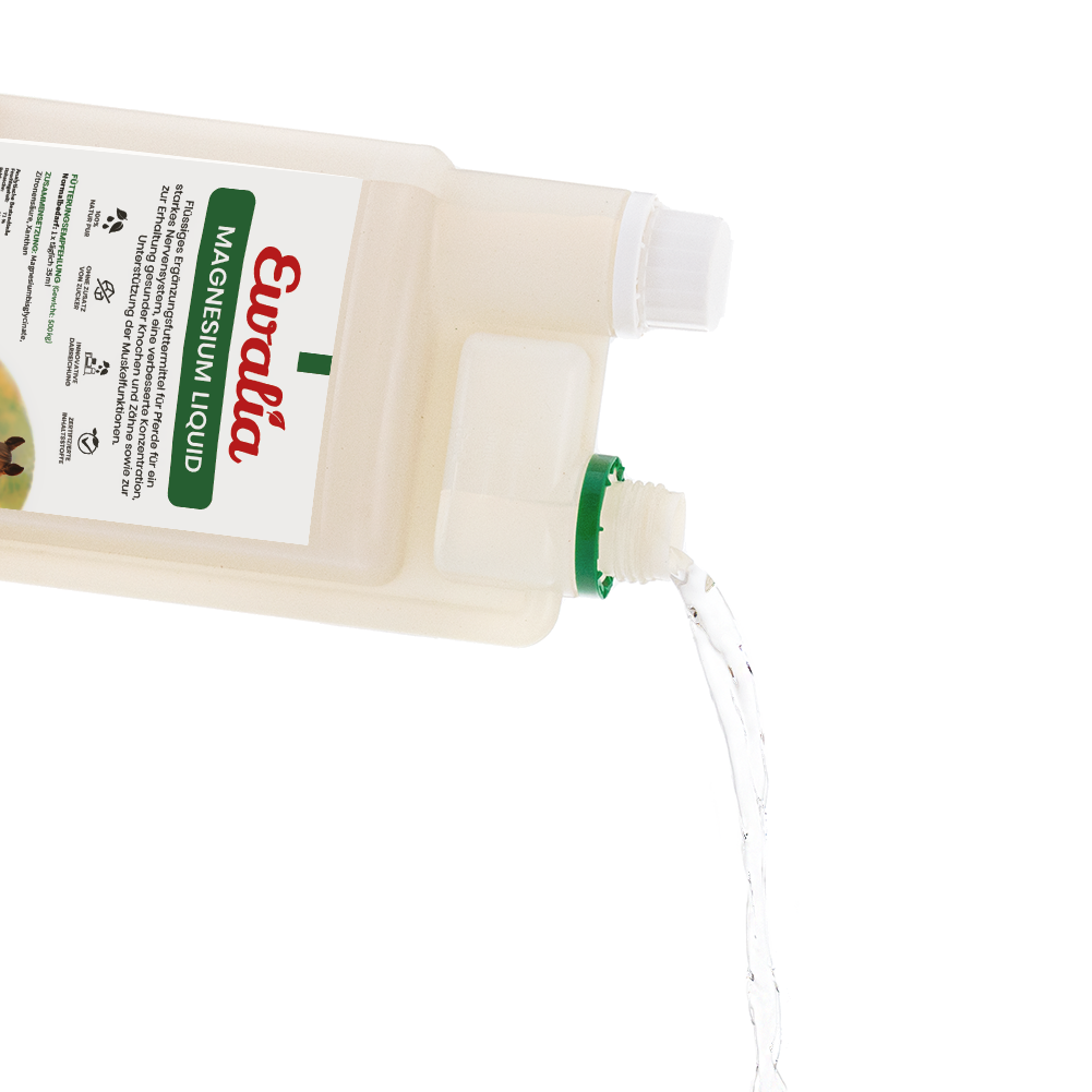 Magnesium L transparent offen