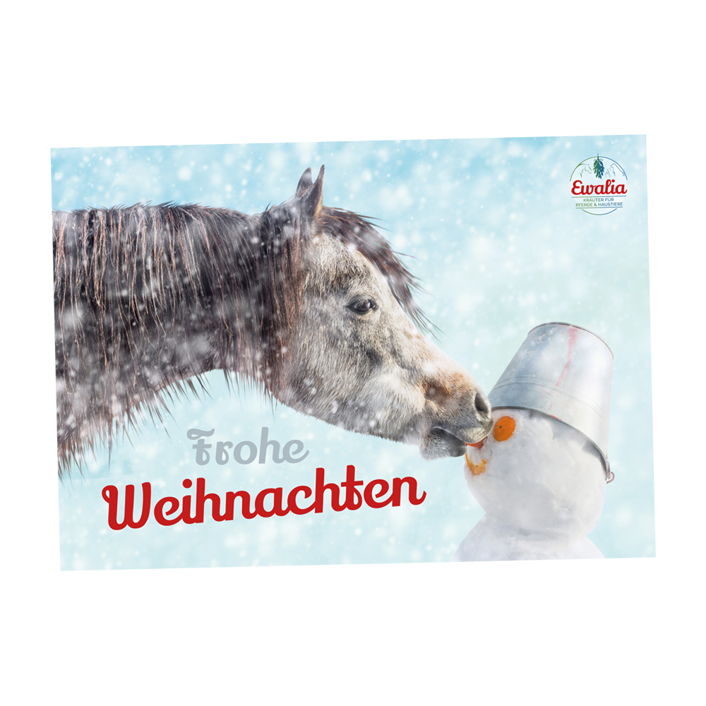 Gutschein für Weihnachten