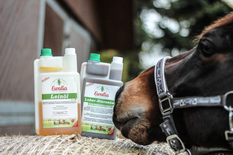Erfahrungen mit dem Fellwechsel-Paket von Ewalia - ehorses Pferd mit Ewalia Kräutersäften