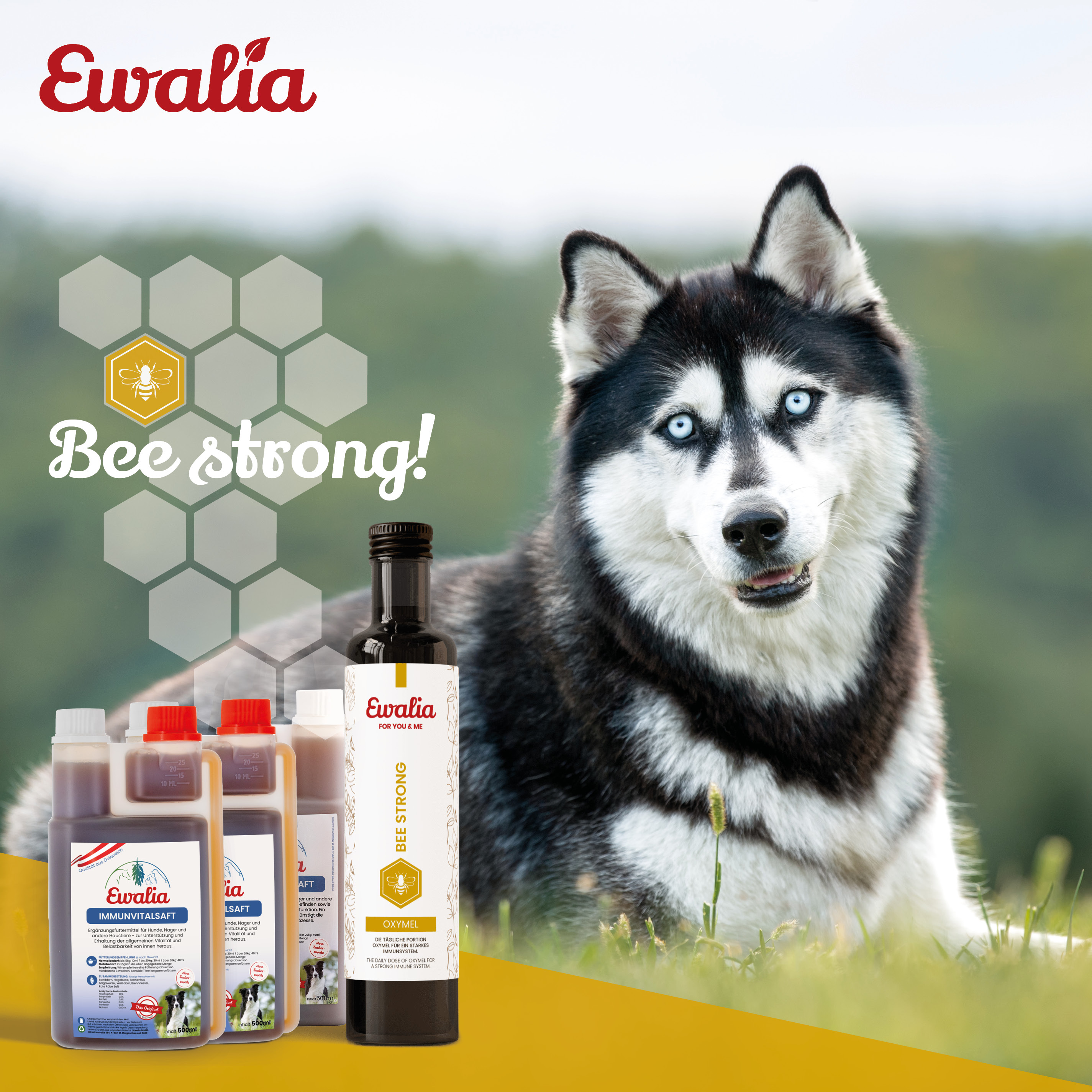 1x EWALIA Oxymel Bee strong + 3x EWALIA Immunvitalsaft für Hunde 500ml